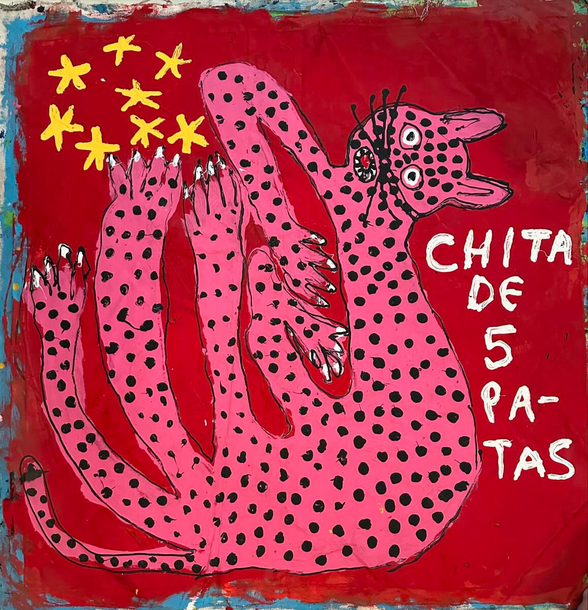 Chita de 5 patas